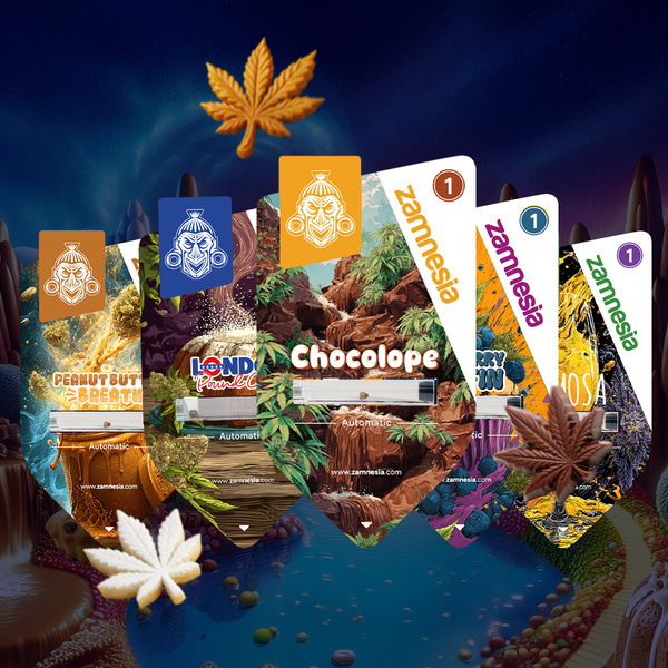 Sugar Valley Samonakvétací balíček (Zamnesia Seeds) feminizovaná