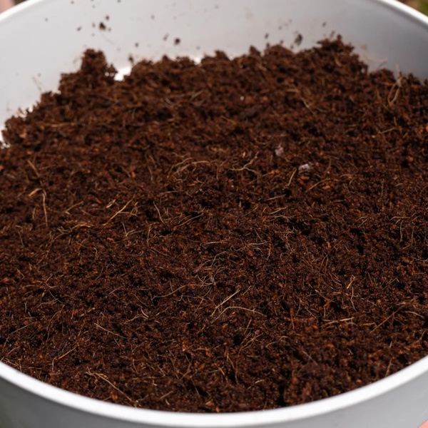 Coco cihly 10L (Zamnesia)