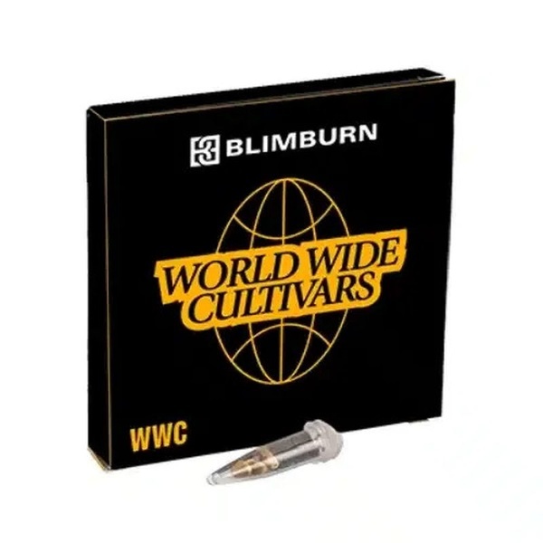 Permanent Marker x Banana Cream (Blimburn Seeds) feminizovaná