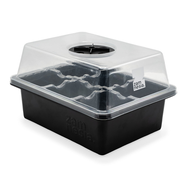 Sada na množení semen (Zamnesia)