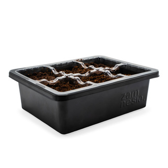 Sada na množení semen (Zamnesia)