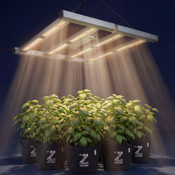 Grow box komplet 100×100 (Zamnesia)
