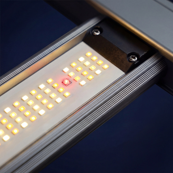 LED pěstební světlo Phytonaut 320 W (Zamnesia)