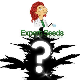 Tajemn&eacute; sem&iacute;nko Samonakv&eacute;tac&iacute; 1 (Expert Seeds)