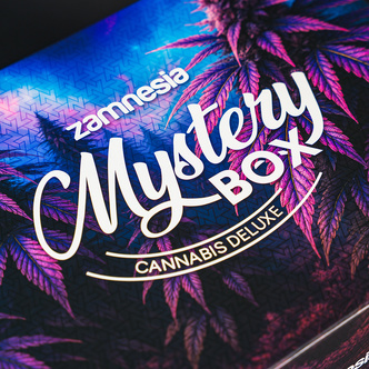 Cannabis Mystery Box &ndash; Deluxe (Zamnesia)