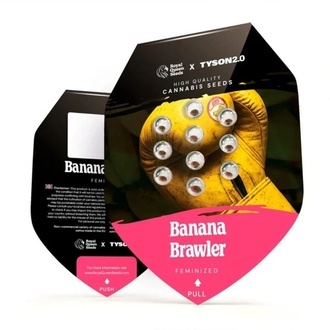 Banana Brawler (Royal Queen Seeds) feminizovaná