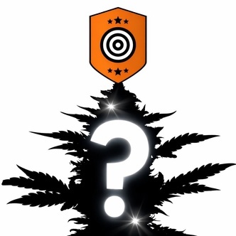 2 Mystery Free Seeds Kannabia Autoflower