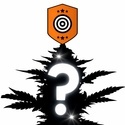 Tajemná samonakvétací semínka 2 (Kannabia)