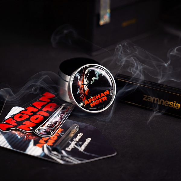 Afghan Noir (Zamnesia Seeds x Expert Seeds)  feminizovaná