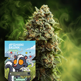 Afghani Skunk Fast Version (Zamnesia Seeds) feminizovan&aacute;