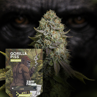 Gorilla Piss Fast Version (Zamnesia Seeds) feminizovan&aacute;
