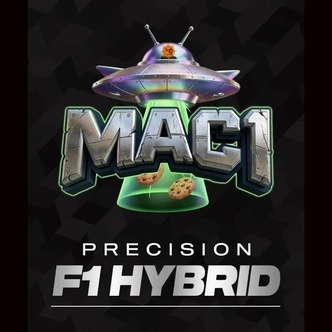 MAC 1 F1 (Barney's Farm) feminizovan&aacute;
