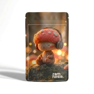 Shroomies Z-Lock Stash Sáček (malý)
