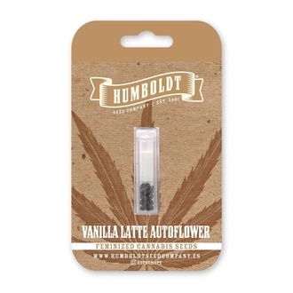 Vanilla Latte Samonakvétací (Humboldt Seed Company) Feminizovaná