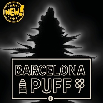 Barcelona Puff Auto (Seedstockers) Feminizovan&aacute;