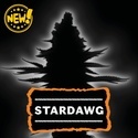 Stardawg (Seedstockers) Feminizovaná