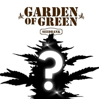 Tajemn&eacute; CBD sem&iacute;nko 1 (Garden of Green)