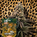 Cheetah Piss Samonakvétací (Zamnesia Seeds) Feminizovaná