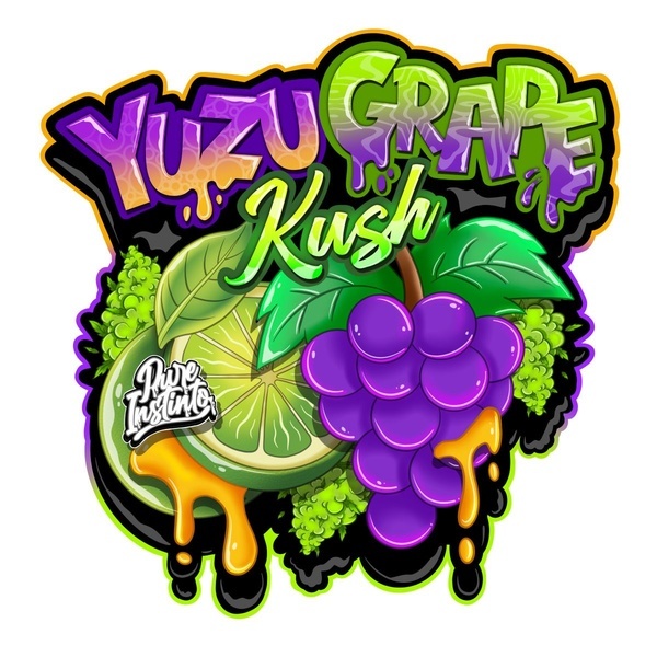 Yuzu Grape Kush (Pure Instinto) Feminizovaná