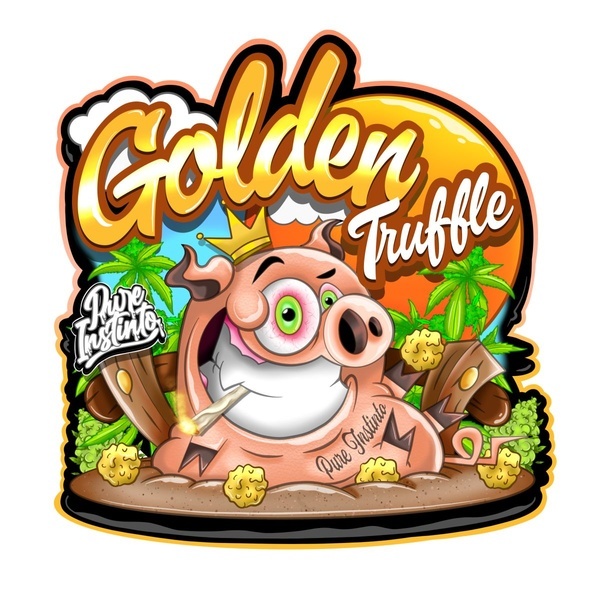 Golden Truffle (Pure Instinto) feminizovaná
