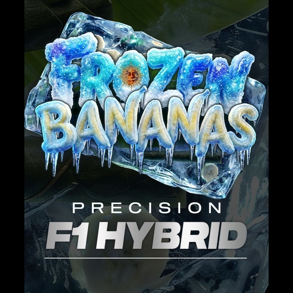 Frozen Bananas F1 Auto (Barney's Farm) feminizovaná