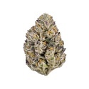 Lemon Cherry Runtz (Fast Buds) feminizovaná