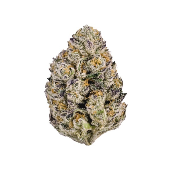 Lemon Cherry Runtz (Fast Buds) feminizovaná