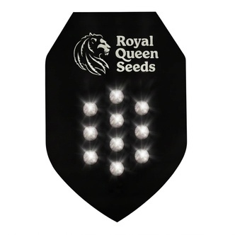 Samonakv&eacute;tac&iacute; tajemn&eacute; sem&iacute;nko 10 (Royal Queen Seeds)