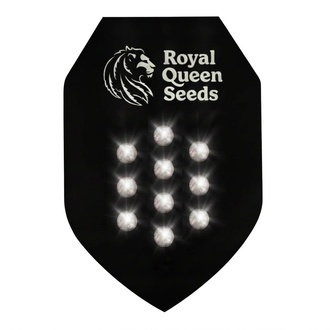 Tajemn&aacute; Samonakv&eacute;tac&iacute; Sem&iacute;nka 10 (Royal Queen Seeds)