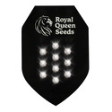 Tajemná Samonakvétací Semínka 10 (Royal Queen Seeds)