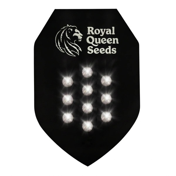 Tajemná Samonakvétací Semínka 10 (Royal Queen Seeds)