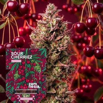 Sour Cherriez (Zamnesia Seeds) feminizovan&aacute;