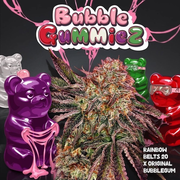 BubbleGummieZ (T.H. Seeds) Feminizovaná