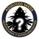 Mystery Feminizovaná Semínka 2 (Advanced Seeds)