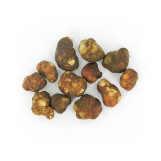 Mexicana magické lanýže