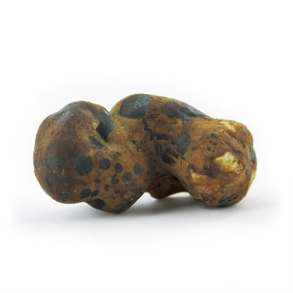 Fantasia Magické lanýže