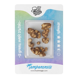 Magick&eacute; lan&yacute;že Tampanensis