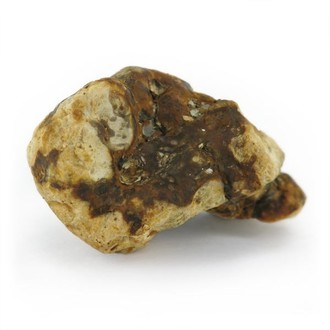 Atlantis Magic truffles