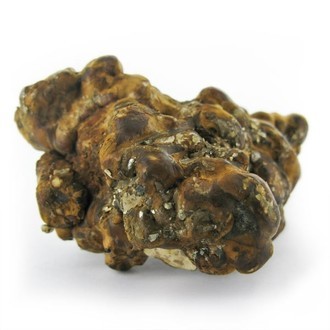 Hollandia Magické lanýže