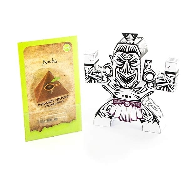 Anubis (Pyramid Seeds) feminizovaná