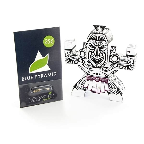 Blue Pyramid (Pyramid Seeds) feminizovaná