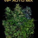 VIP Auto Mix (VIP Seeds) feminizovaná