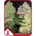 Collection 1 (Medical Seeds) feminizovaná