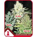 Kolekce 4 (Medical Seeds) feminizovaná