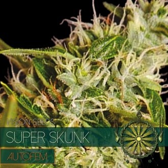Super Skunk Samonakv&eacute;tac&iacute; (Vision Seeds) feminizovan&aacute;