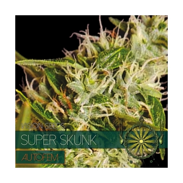 Super Skunk Samonakvétací (Vision Seeds) feminizovaná