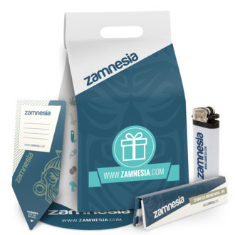 Tajemn&yacute; d&aacute;rkov&yacute; s&aacute;ček