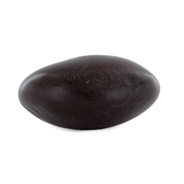 African Dream Seeds (1 semínko)