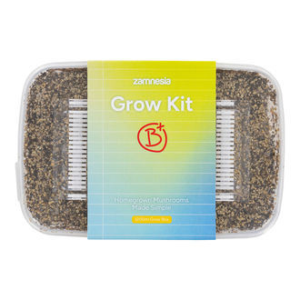 Pěstební sada Zamnesia „B+“