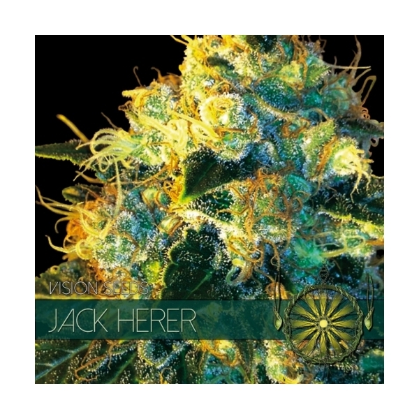 Jack Herer (Vision Seeds) feminizovaná